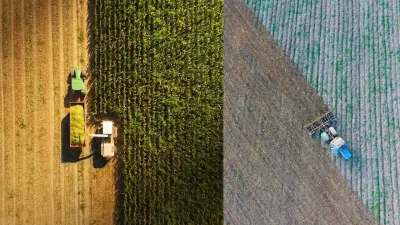 Küresel gıda fiyatları 4 yılın zirvesinde
